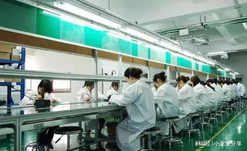 权力阴影下的私企车间 八年潜规则与营业性演出的惊人真相